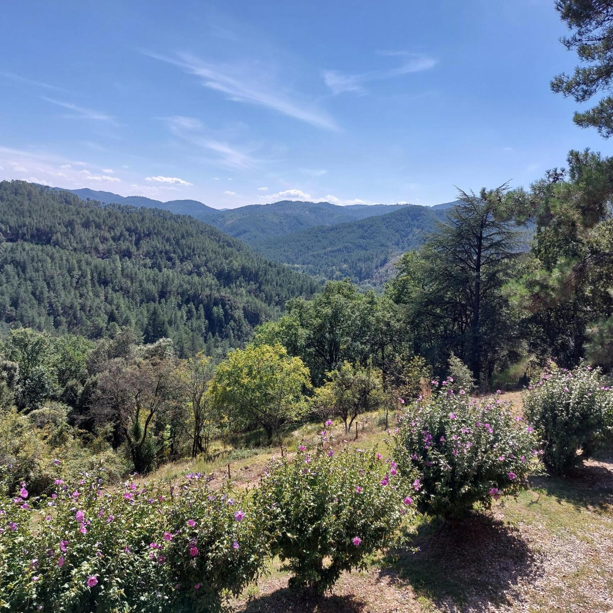 Chalet 14 Pers Avec Vue Panoramique Et Piscine Chauffee Genolhac Eksteriør billede