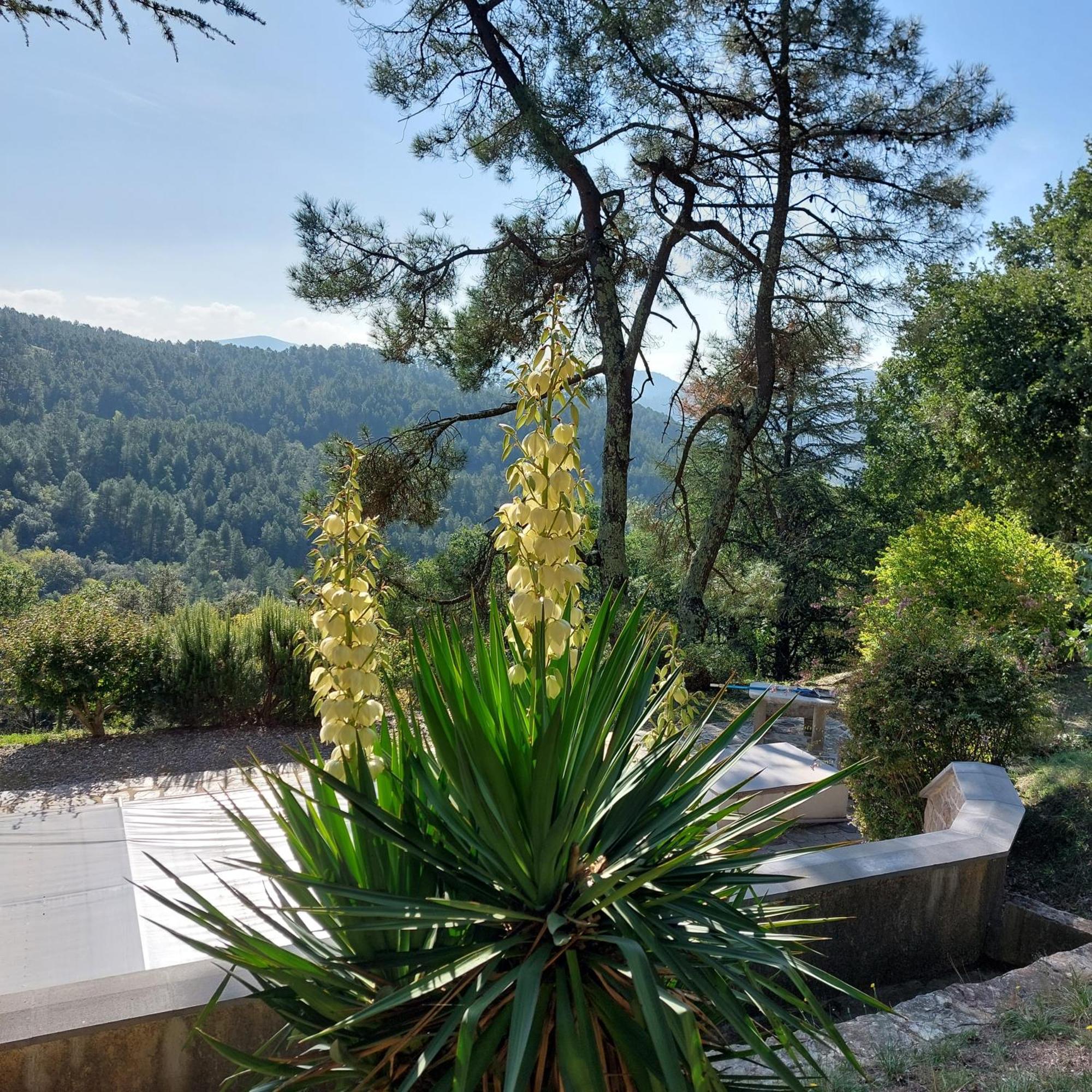 Chalet 14 Pers Avec Vue Panoramique Et Piscine Chauffee Genolhac Eksteriør billede